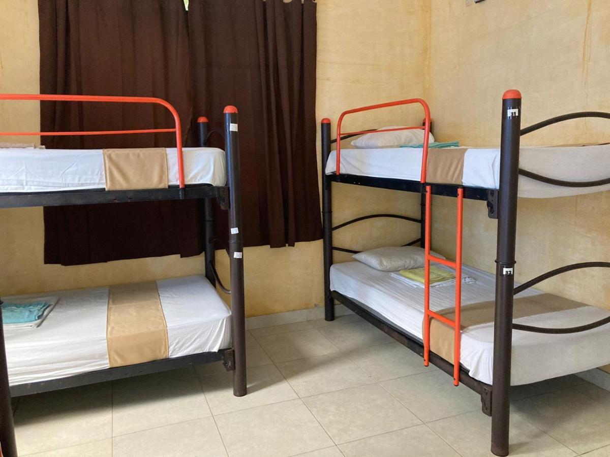Hostal La Ermita Mérida Εξωτερικό φωτογραφία
